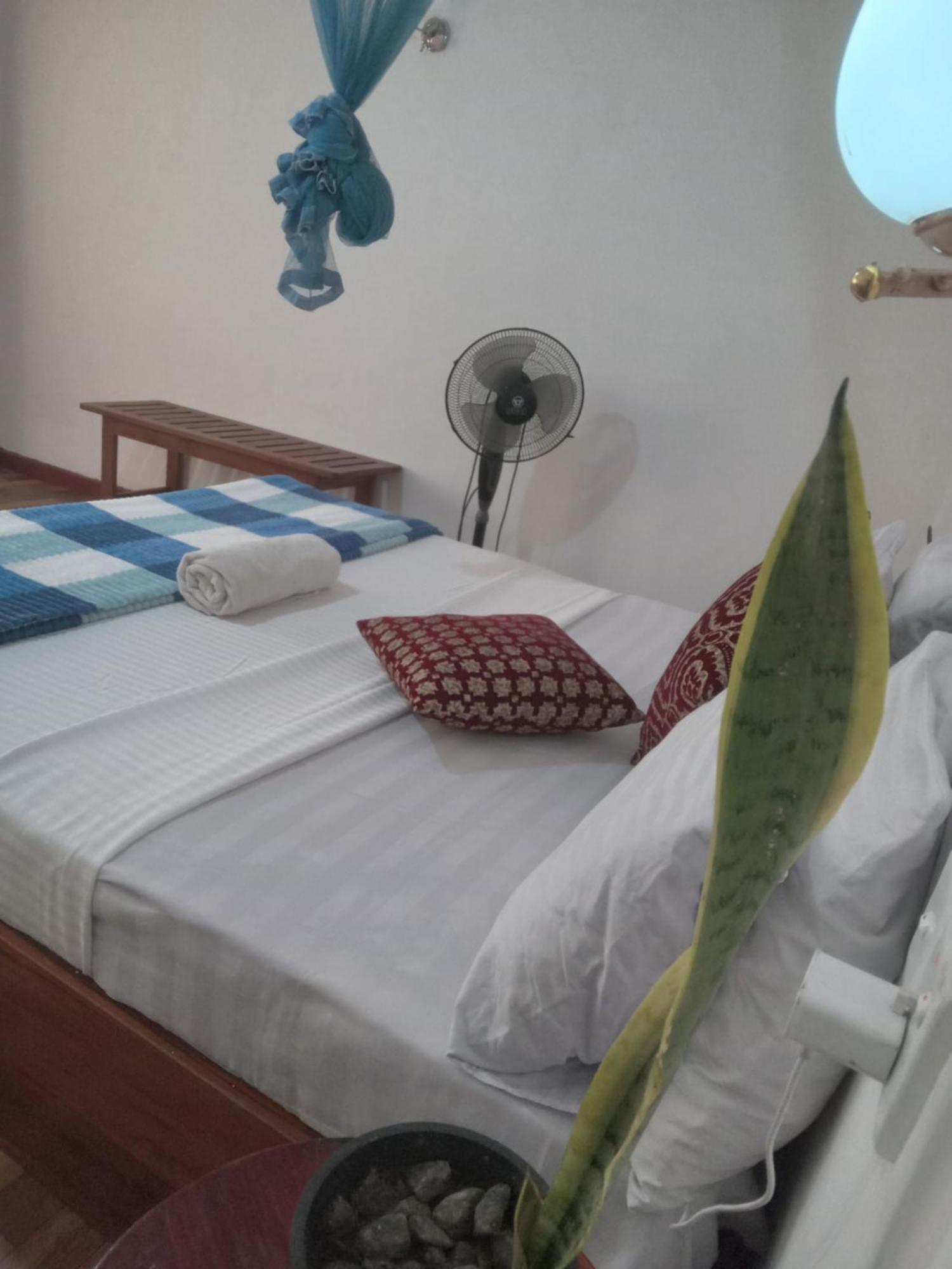 Elegant Hill Apartment Ella Ngoại thất bức ảnh