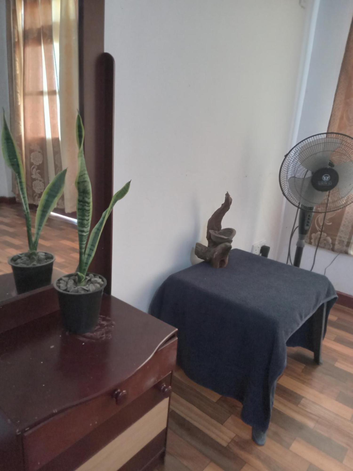 Elegant Hill Apartment Ella Ngoại thất bức ảnh